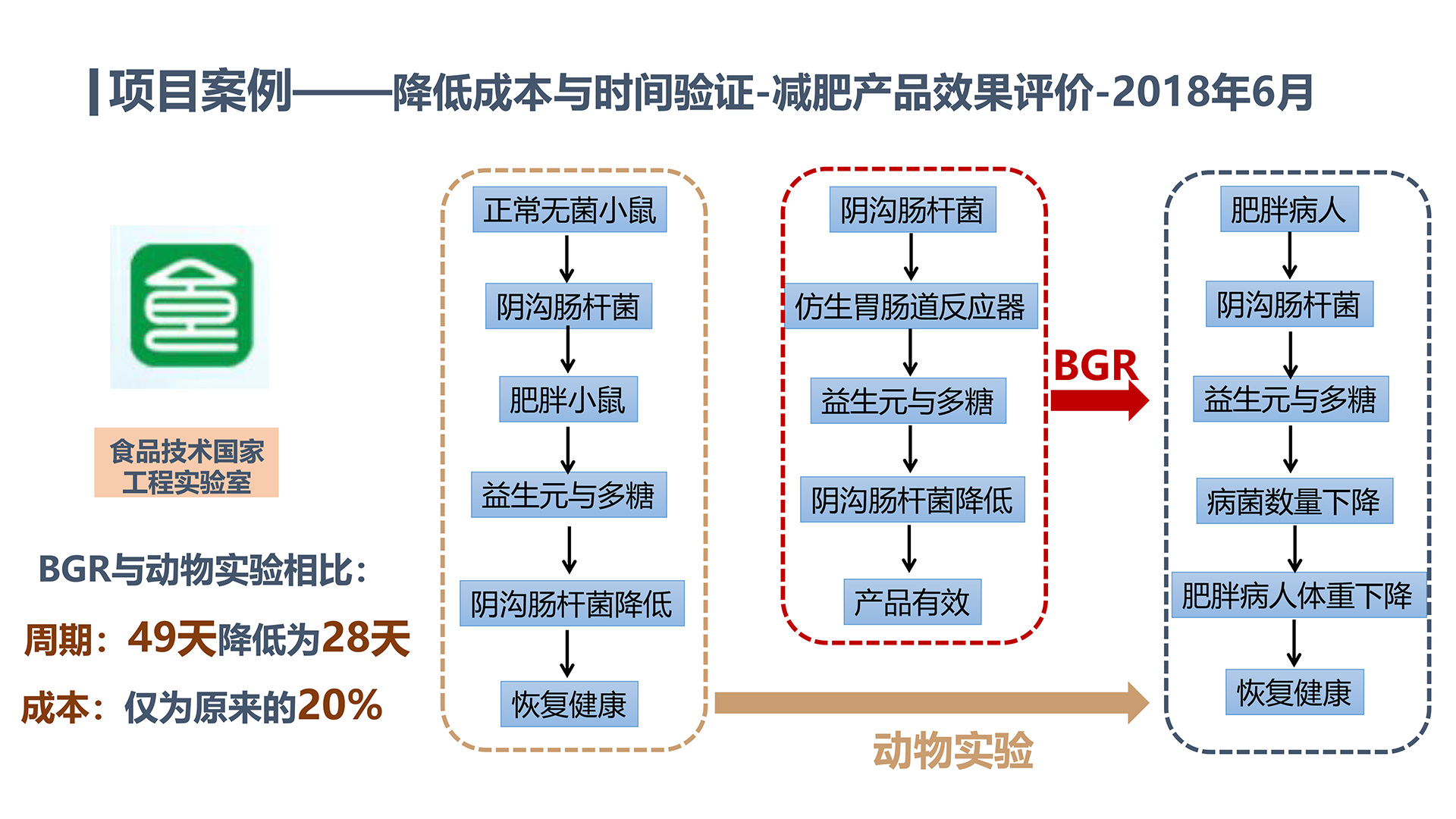 減肥產品實驗.jpg