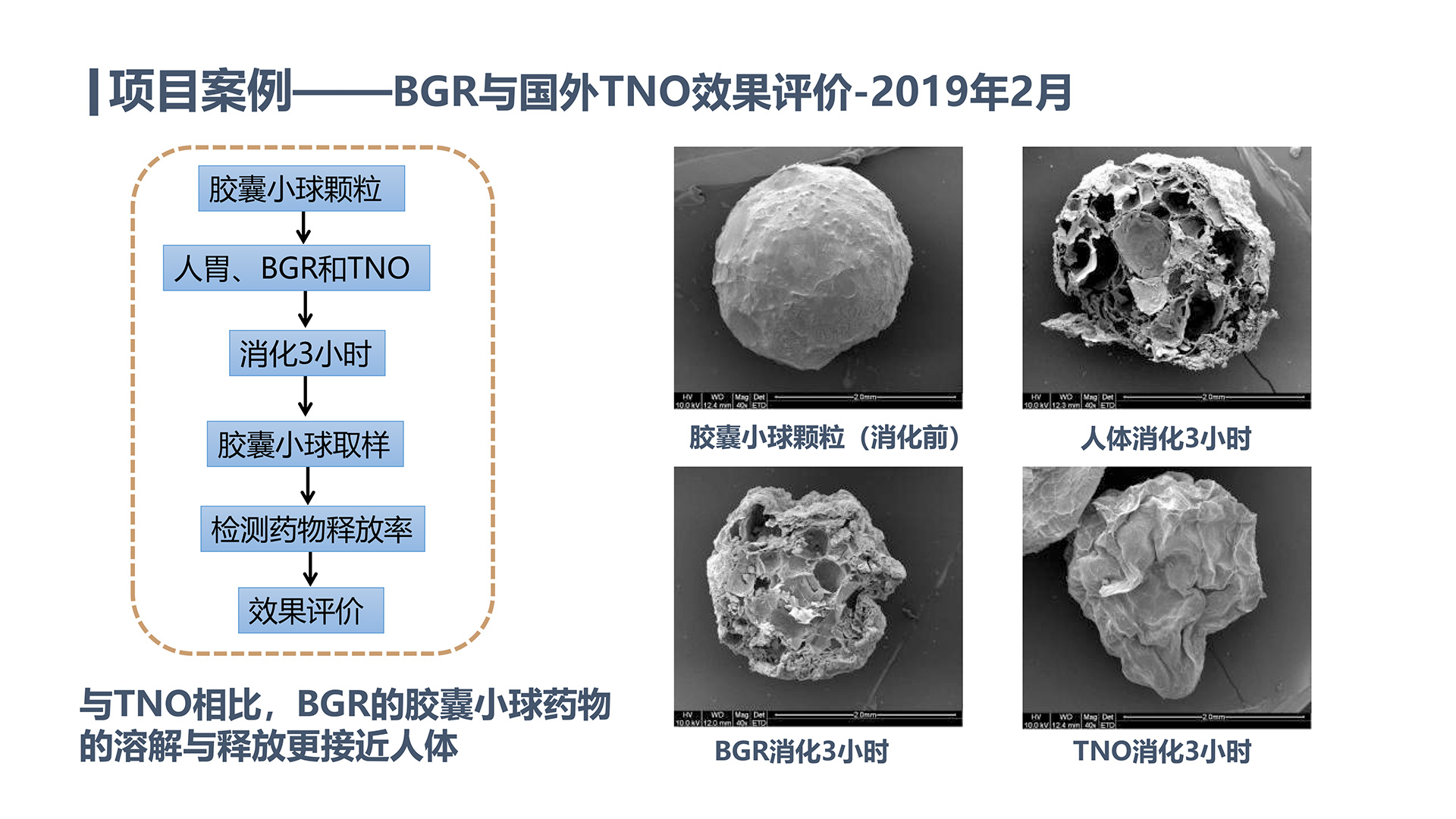 膠囊製品實驗 .jpg